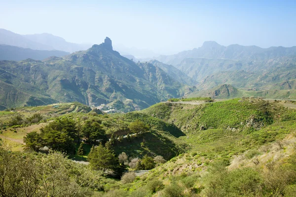 Gran Canaria, Caldera de Tejeda w styczniu — Zdjęcie stockowe