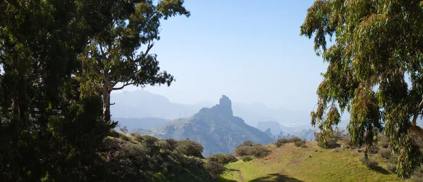 Gran Canaria, Caldera de Tejeda in januari — Stockfoto