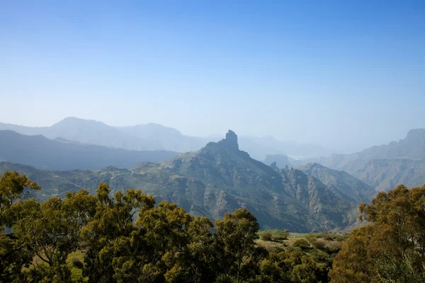 Gran Canaria, Caldera de Tejeda in januari — Stockfoto