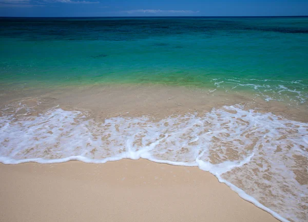 Fuerteventura, Burro Beach — Stock fotografie