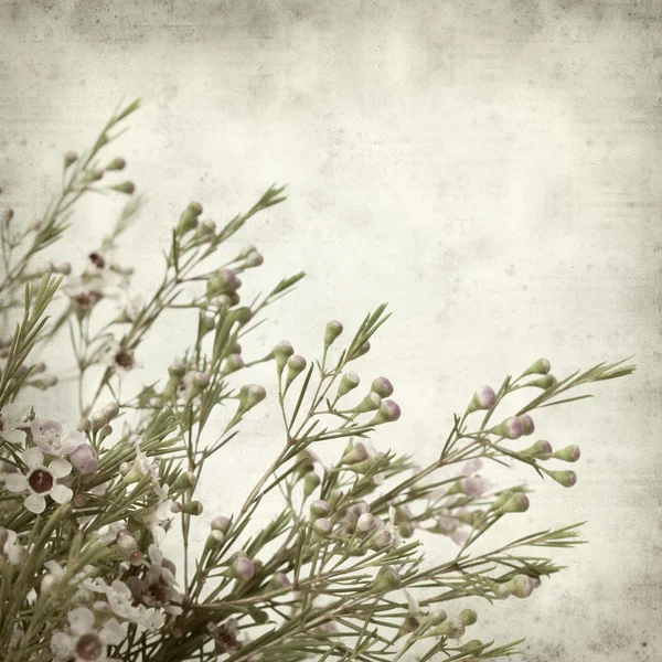 Textured old paper background — Stock Photo, Image