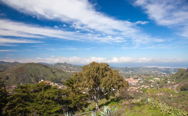 Gran Canaria, Şubat — Stok fotoğraf