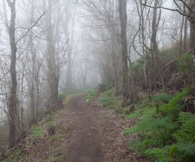 İç Gran Canaria, Las Montanetas sis