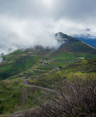 Merkez Gran Canaria, Morro de Armonia