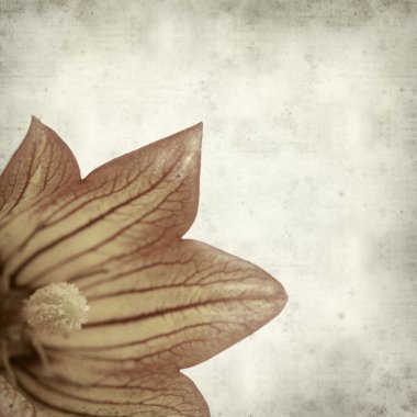 eski kağıt arka plan ile dokulu