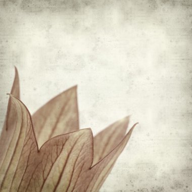 eski kağıt arka plan ile dokulu