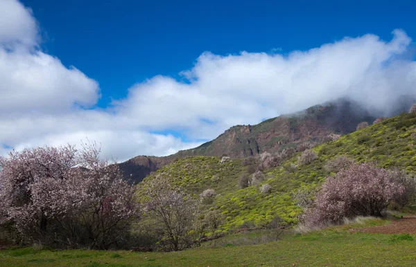 Caldera de Tejeda in winter — Stock Photo, Image