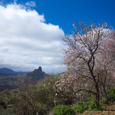 Caldera de Tejeda kışın