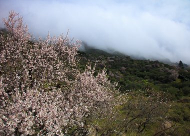 Caldera de Tejeda kışın