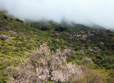 Caldera de Tejeda kışın