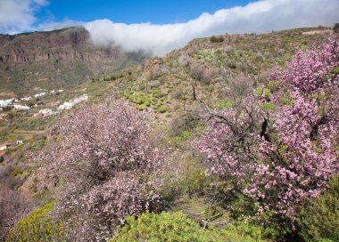 Caldera de Tejeda kışın