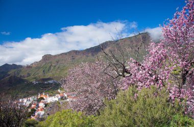 Caldera de Tejeda kışın