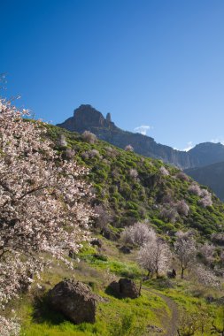 Caldera de Tejeda kışın