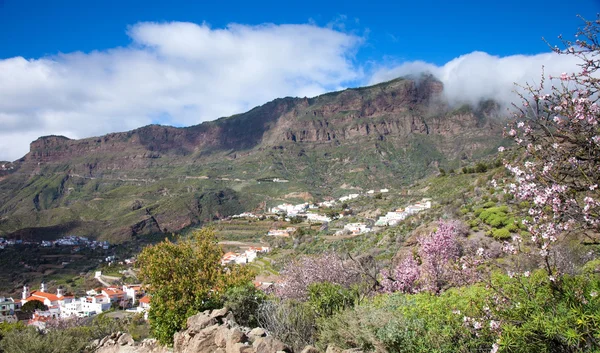 Caldera de Tejeda zimą — Zdjęcie stockowe