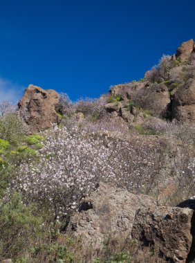 Caldera de Tejeda kışın