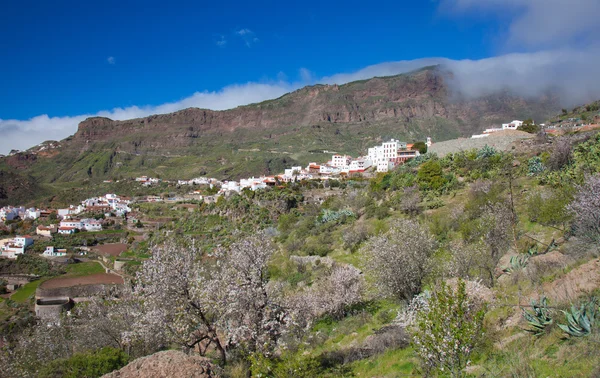 Caldera de tejeda im Winter — Stockfoto