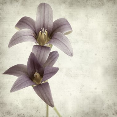 desenli eski kağıt arkaplan