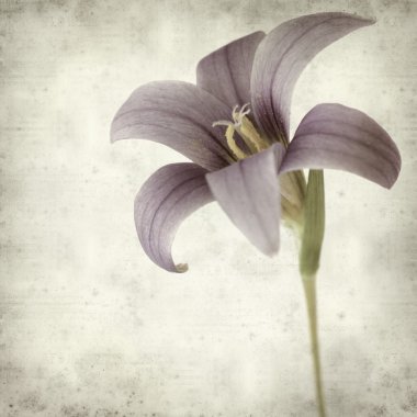 desenli eski kağıt arkaplan