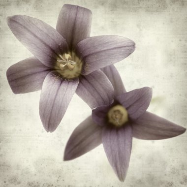 desenli eski kağıt arkaplan