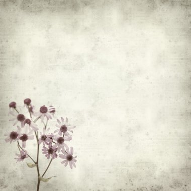 desenli eski kağıt arkaplan  