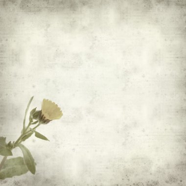 desenli eski kağıt arkaplan  