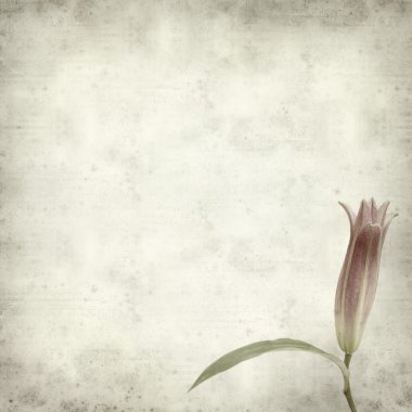 desenli eski kağıt arkaplan  