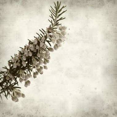 desenli eski kağıt arkaplan  