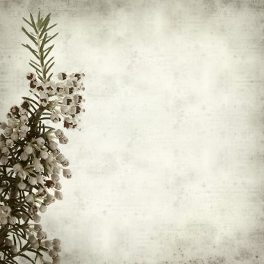 desenli eski kağıt arkaplan  