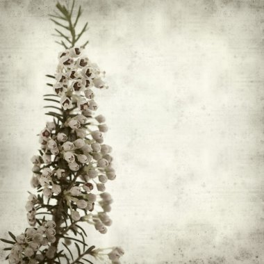 desenli eski kağıt arkaplan  