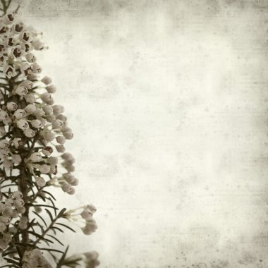 desenli eski kağıt arkaplan  