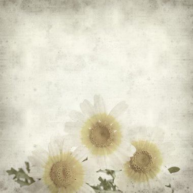 desenli eski kağıt arkaplan  