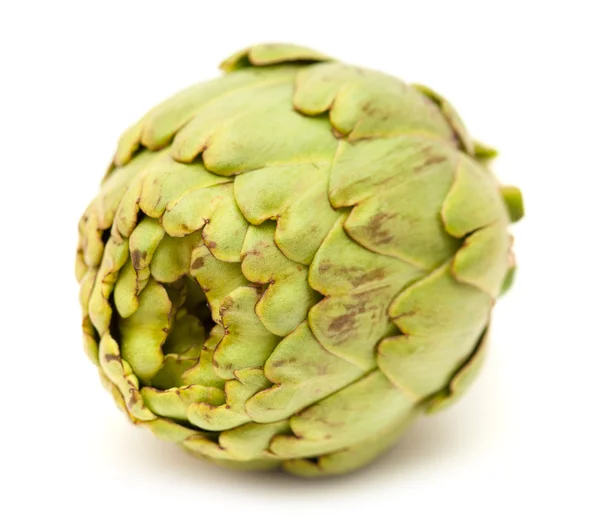 Globe artichoke — Stock Photo, Image