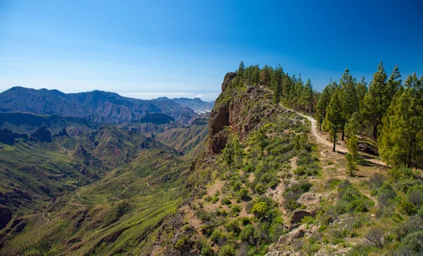 Interior de Gran Canaria —  Fotos de Stock