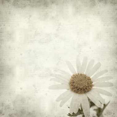 desenli eski kağıt arkaplan  