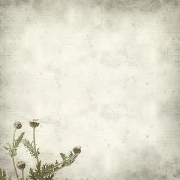 Textured old paper background — Stock Photo, Image