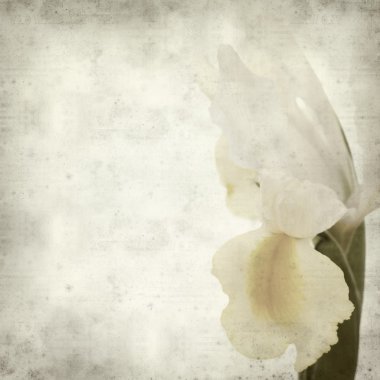 desenli eski kağıt arkaplan  