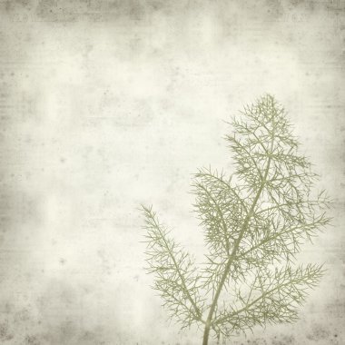 desenli eski kağıt arkaplan  