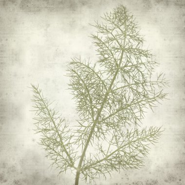 desenli eski kağıt arkaplan  