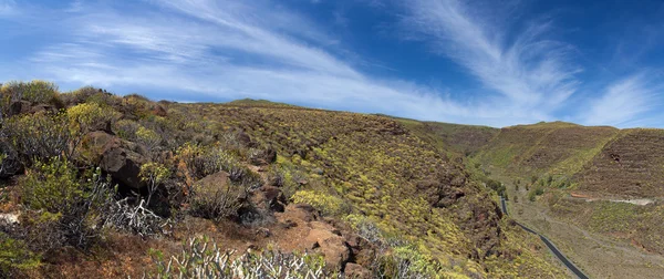 Barranco de Guayadeque — Stockfoto