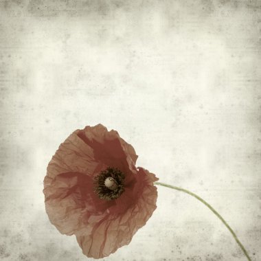 desenli eski kağıt arkaplan  