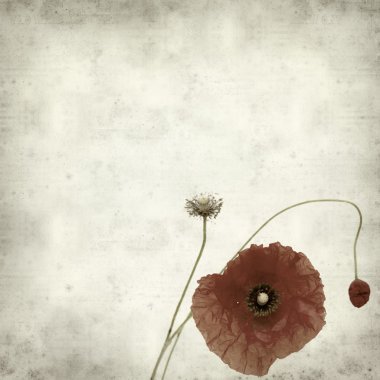 desenli eski kağıt arkaplan  