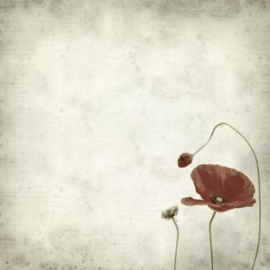 desenli eski kağıt arkaplan  