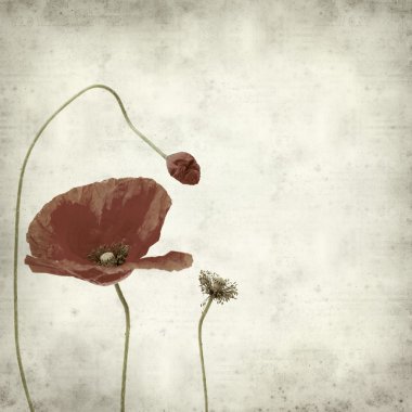 desenli eski kağıt arkaplan  