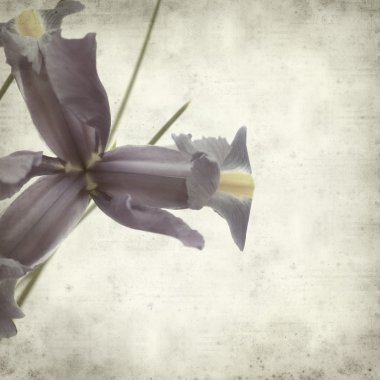 desenli eski kağıt arkaplan  