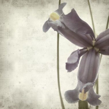 desenli eski kağıt arkaplan  