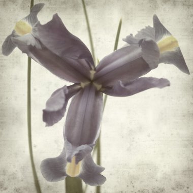 desenli eski kağıt arkaplan  