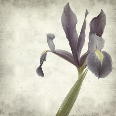 desenli eski kağıt arkaplan  