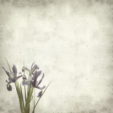 desenli eski kağıt arkaplan  