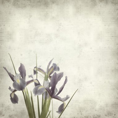 desenli eski kağıt arkaplan  