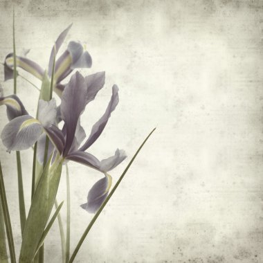 desenli eski kağıt arkaplan  